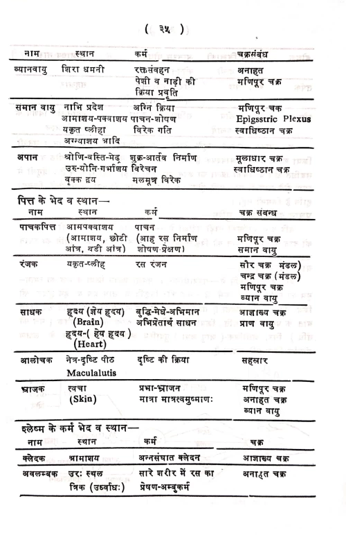 Abhinava Nadi Tantra